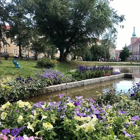 Daire Lys Leilighet Med 3 Soverom Sentralt I Oslo, Hage