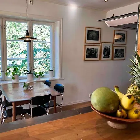 Lys Leilighet Med 3 Soverom Sentralt I Oslo, Hage Daire Oslo
