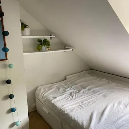 Daire Lys Leilighet Med 3 Soverom Sentralt I Oslo, Hage